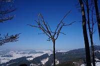  3. März 2013 - Winterblick